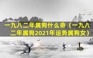 一九八二年属狗什么命（一九八二年属狗2021年运势属狗女）