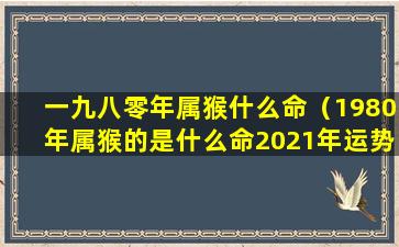 一九八零年属猴什么命（1980年属猴的是什么命2021年运势）