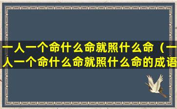 一人一个命什么命就照什么命（一人一个命什么命就照什么命的成语）