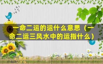 一命二运的运什么意思（一命二运三风水中的运指什么）