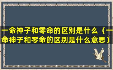 一命神子和零命的区别是什么（一命神子和零命的区别是什么意思）