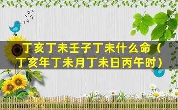 丁亥丁未壬子丁未什么命（丁亥年丁未月丁未日丙午时）