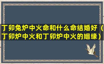 丁卯兔炉中火命和什么命结婚好（丁卯炉中火和丁卯炉中火的姻缘）