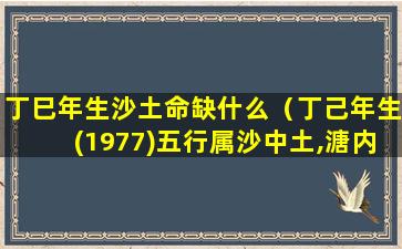 丁巳年生沙土命缺什么（丁己年生(1977)五行属沙中土,溏内之蛇）