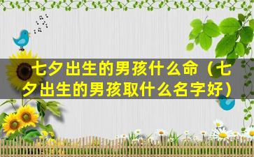 七夕出生的男孩什么命（七夕出生的男孩取什么名字好）