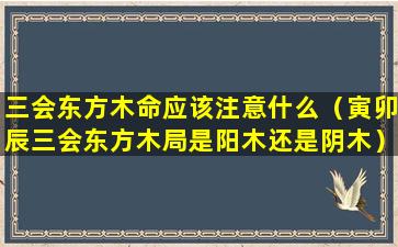 三会东方木命应该注意什么（寅卯辰三会东方木局是阳木还是阴木）