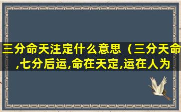 三分命天注定什么意思（三分天命,七分后运,命在天定,运在人为）