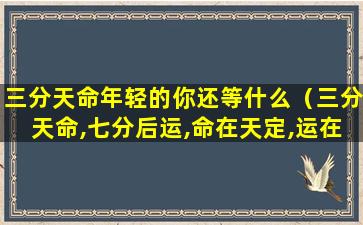 三分天命年轻的你还等什么（三分天命,七分后运,命在天定,运在人为）