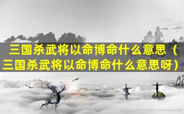 三国杀武将以命博命什么意思（三国杀武将以命博命什么意思呀）