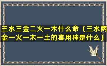 三水三金二火一木什么命（三水两金一火一木一土的喜用神是什么）