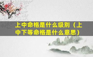 上中命格是什么级别（上中下等命格是什么意思）