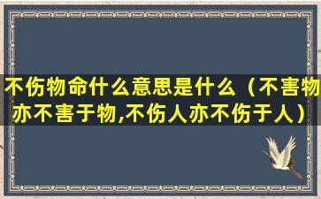 不伤物命什么意思是什么（不害物亦不害于物,不伤人亦不伤于人）