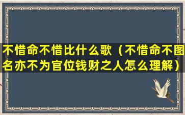 不惜命不惜比什么歌（不惜命不图名亦不为官位钱财之人怎么理解）