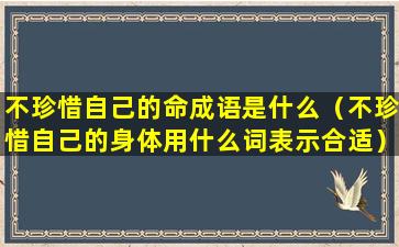 不珍惜自己的命成语是什么（不珍惜自己的身体用什么词表示合适）