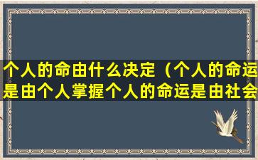 个人的命由什么决定（个人的命运是由个人掌握个人的命运是由社会掌握）