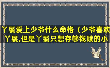 丫鬟爱上少爷什么命格（少爷喜欢丫鬟,但是丫鬟只想存够钱赎的小说）