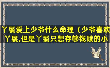 丫鬟爱上少爷什么命理（少爷喜欢丫鬟,但是丫鬟只想存够钱赎的小说）