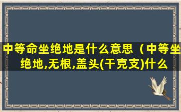 中等命坐绝地是什么意思（中等坐绝地,无根,盖头(干克支)什么意思）