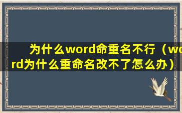 为什么word命重名不行（word为什么重命名改不了怎么办）