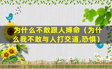 为什么不敢跟人搏命（为什么我不敢与人打交道,恐惧）