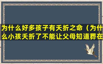 为什么好多孩子有夭折之命（为什么小孩夭折了不能让父母知道葬在哪里）