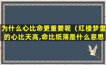 为什么心比命更重要呢（红楼梦里的心比天高,命比纸薄是什么意思）