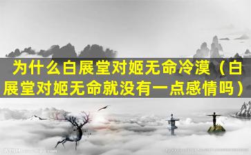 为什么白展堂对姬无命冷漠（白展堂对姬无命就没有一点感情吗）