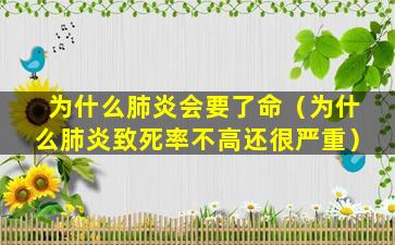 为什么肺炎会要了命（为什么肺炎致死率不高还很严重）