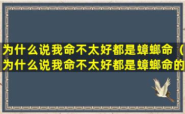 为什么说我命不太好都是蟑螂命（为什么说我命不太好都是蟑螂命的人）