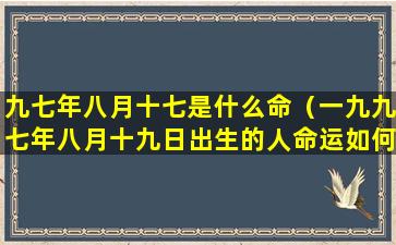 九七年八月十七是什么命（一九九七年八月十九日出生的人命运如何）