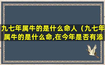 九七年属牛的是什么命人（九七年属牛的是什么命,在今年是否有添丁之喜）