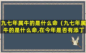 九七年属牛的是什么命（九七年属牛的是什么命,在今年是否有添丁之喜）