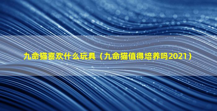 九命猫喜欢什么玩具（九命猫值得培养吗2021）