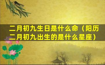 二月初九生日是什么命（阳历二月初九出生的是什么星座）