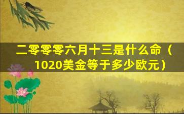 二零零零六月十三是什么命（1020美金等于多少欧元）