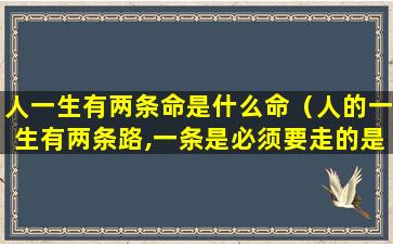 人一生有两条命是什么命（人的一生有两条路,一条是必须要走的是谁说的）