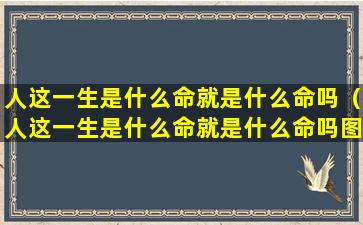 人这一生是什么命就是什么命吗（人这一生是什么命就是什么命吗图片）