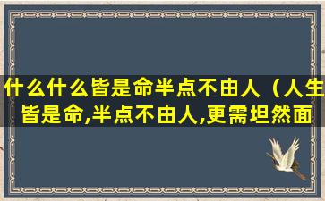 什么什么皆是命半点不由人（人生皆是命,半点不由人,更需坦然面对）