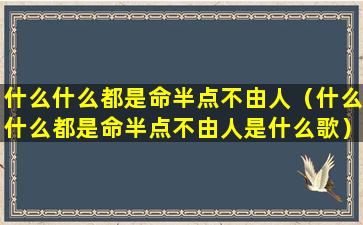 什么什么都是命半点不由人（什么什么都是命半点不由人是什么歌）