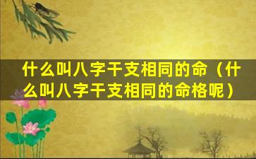 什么叫八字干支相同的命（什么叫八字干支相同的命格呢）