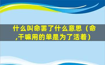 什么叫命罢了什么意思（命,干嘛用的单是为了活着）