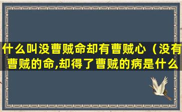 什么叫没曹贼命却有曹贼心（没有曹贼的命,却得了曹贼的病是什么意思）