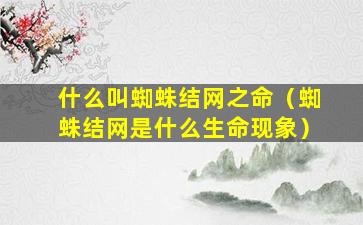 什么叫蜘蛛结网之命（蜘蛛结网是什么生命现象）