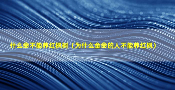 什么命不能养红枫树（为什么金命的人不能养红枫）