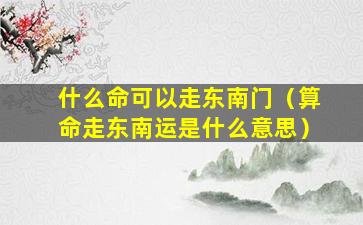 什么命可以走东南门（算命走东南运是什么意思）