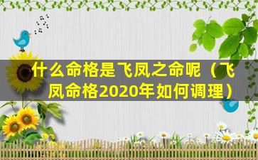 什么命格是飞凤之命呢（飞凤命格2020年如何调理）