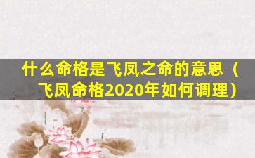 什么命格是飞凤之命的意思（飞凤命格2020年如何调理）