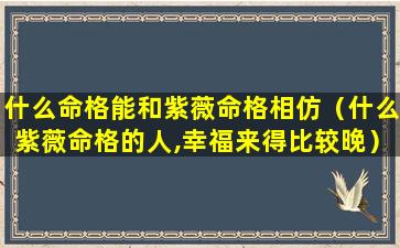 什么命格能和紫薇命格相仿（什么紫薇命格的人,幸福来得比较晚）