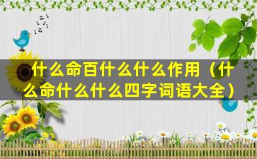 什么命百什么什么作用（什么命什么什么四字词语大全）