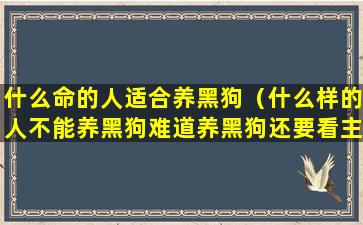 什么命的人适合养黑狗（什么样的人不能养黑狗难道养黑狗还要看主人属相(3)）